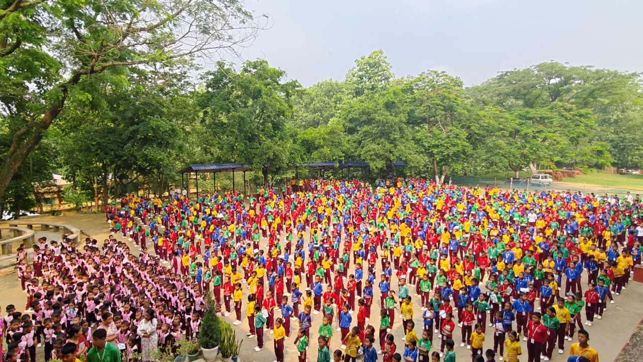 Students Activity